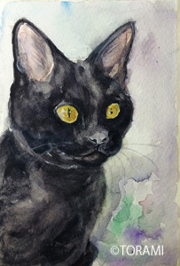 黒猫PortraitⅠ